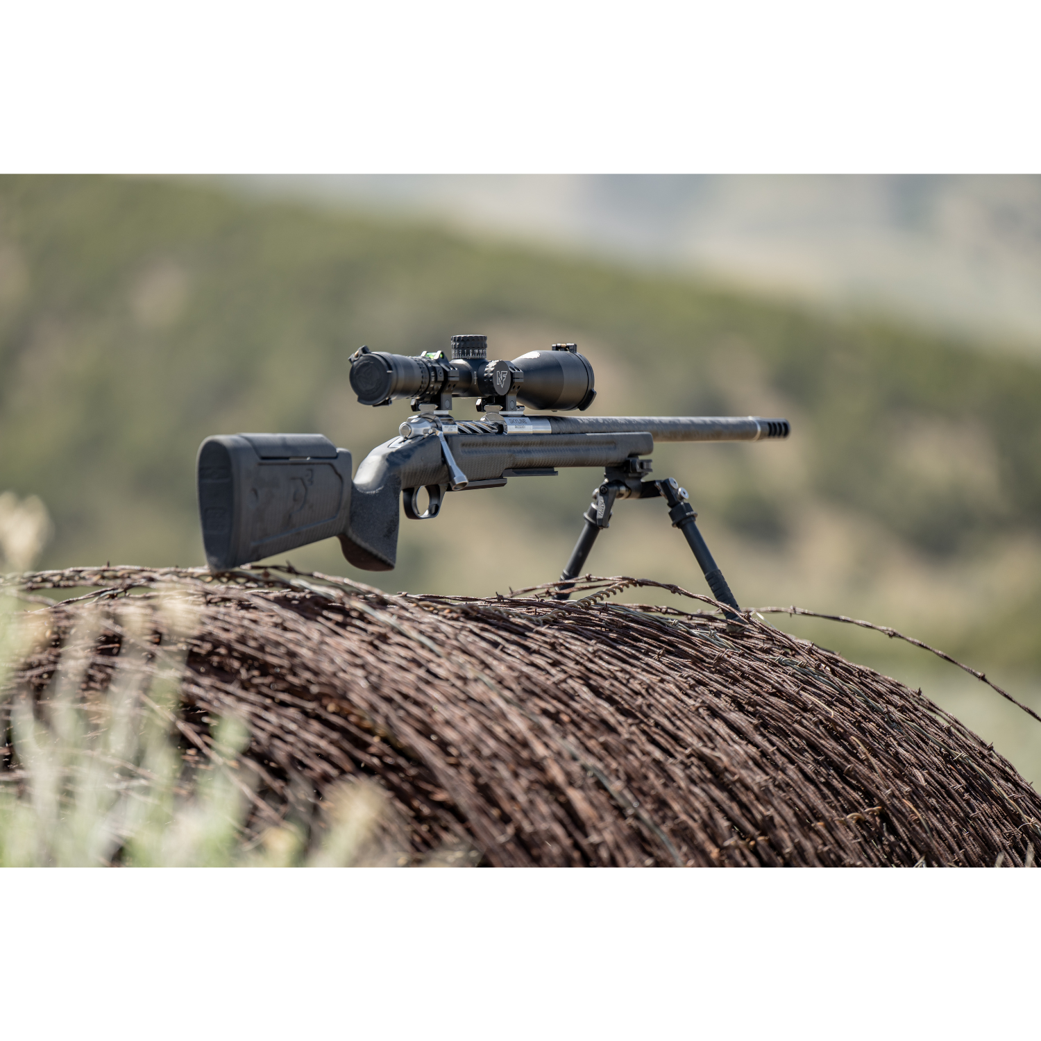 Custom Build Starting Price